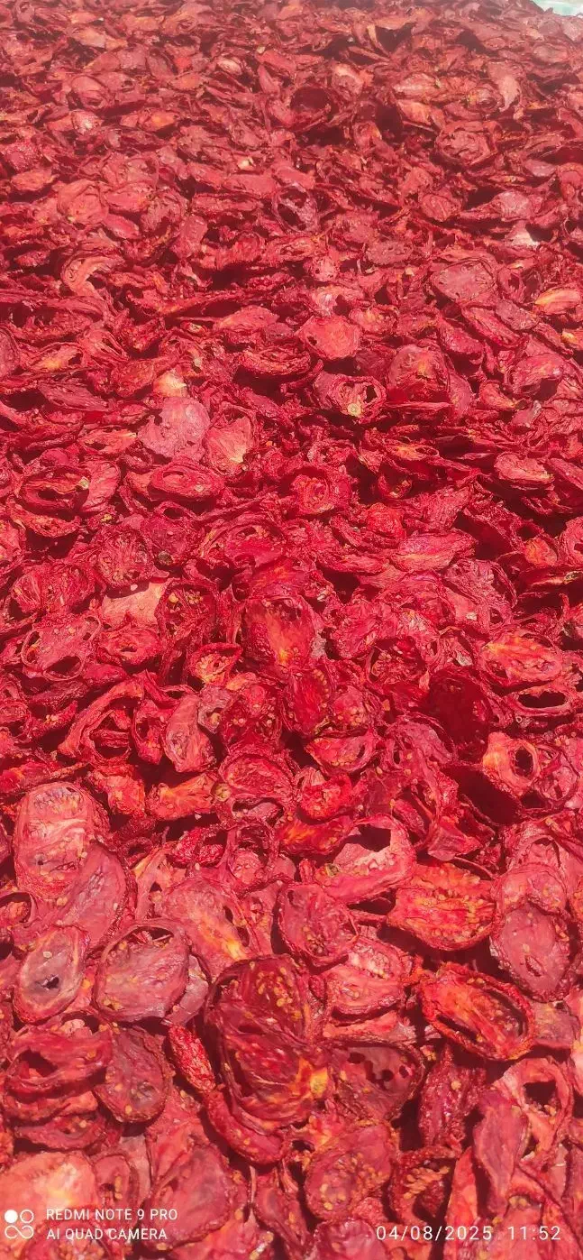 گوجه خشک کاملا بهداشتی واسلایس شده|خوردنی و آشامیدنی|اژیه, |دیوار