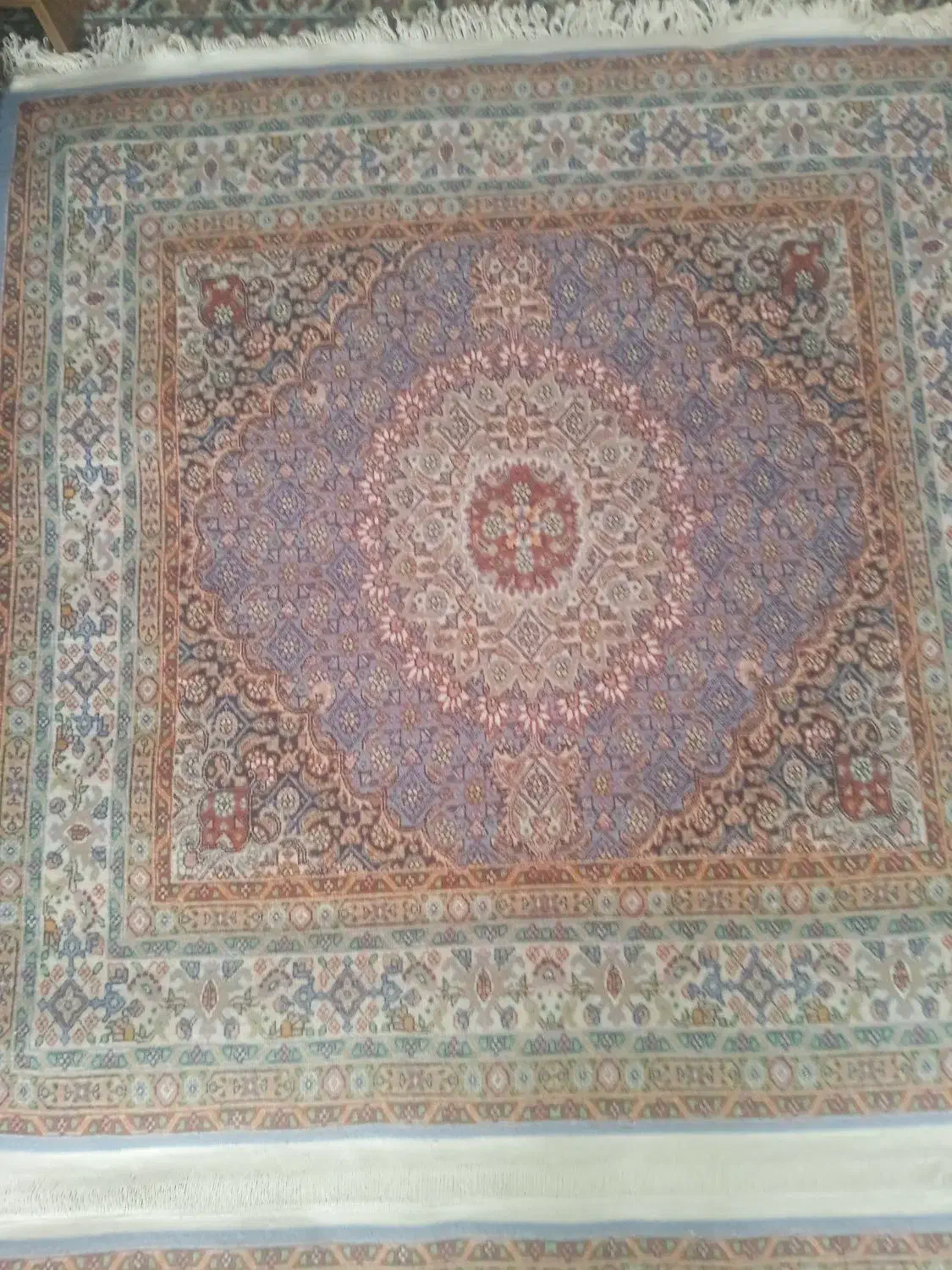 جفت قالیچه125*125|گلیم، جاجیم، گبه|بیرجند, |دیوار