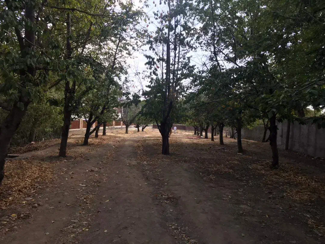 زمین ۱۲۰۰ متری احمد آباد دماوند|فروش زمین و ملک کلنگی|دماوند, دماوند|دیوار