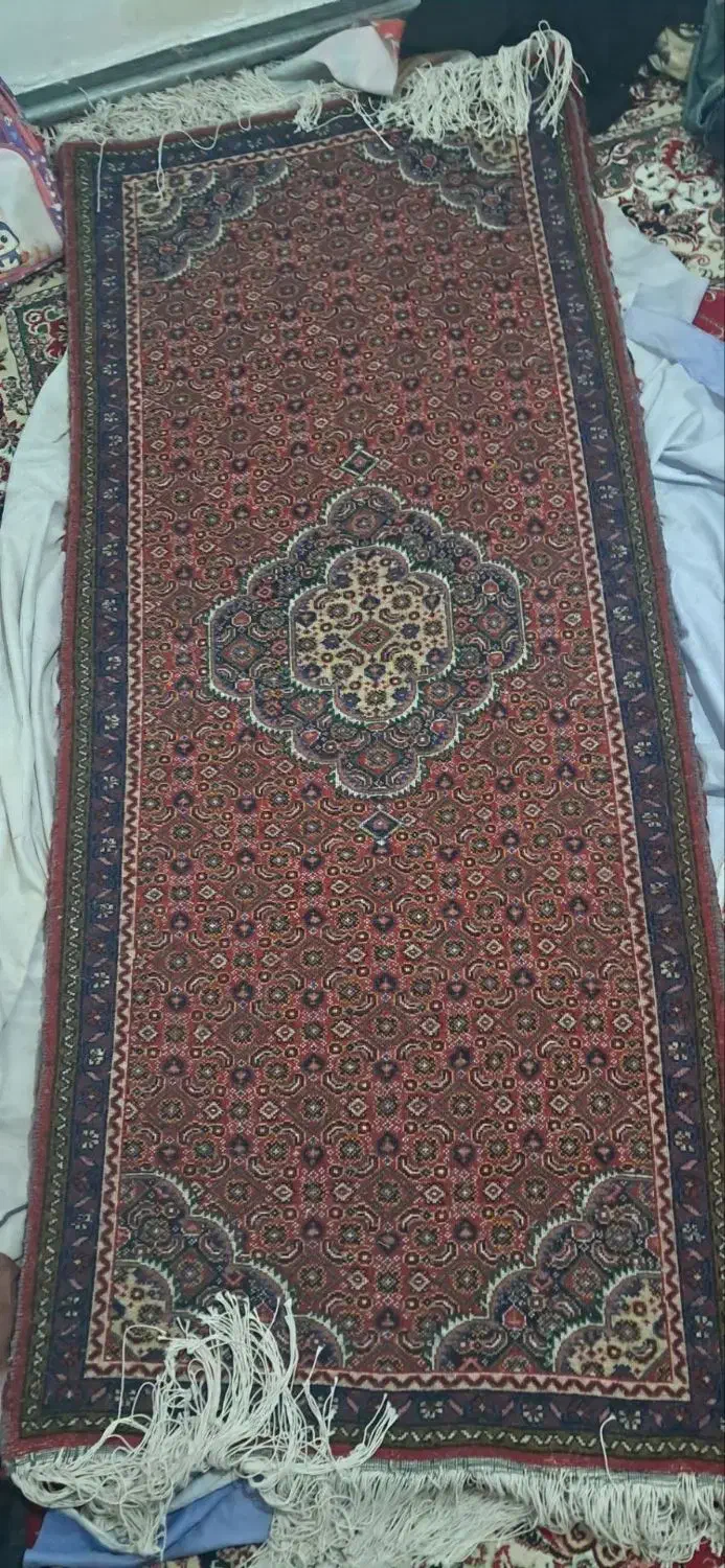 فرش قاپچی|فرش|اردبیل, |دیوار