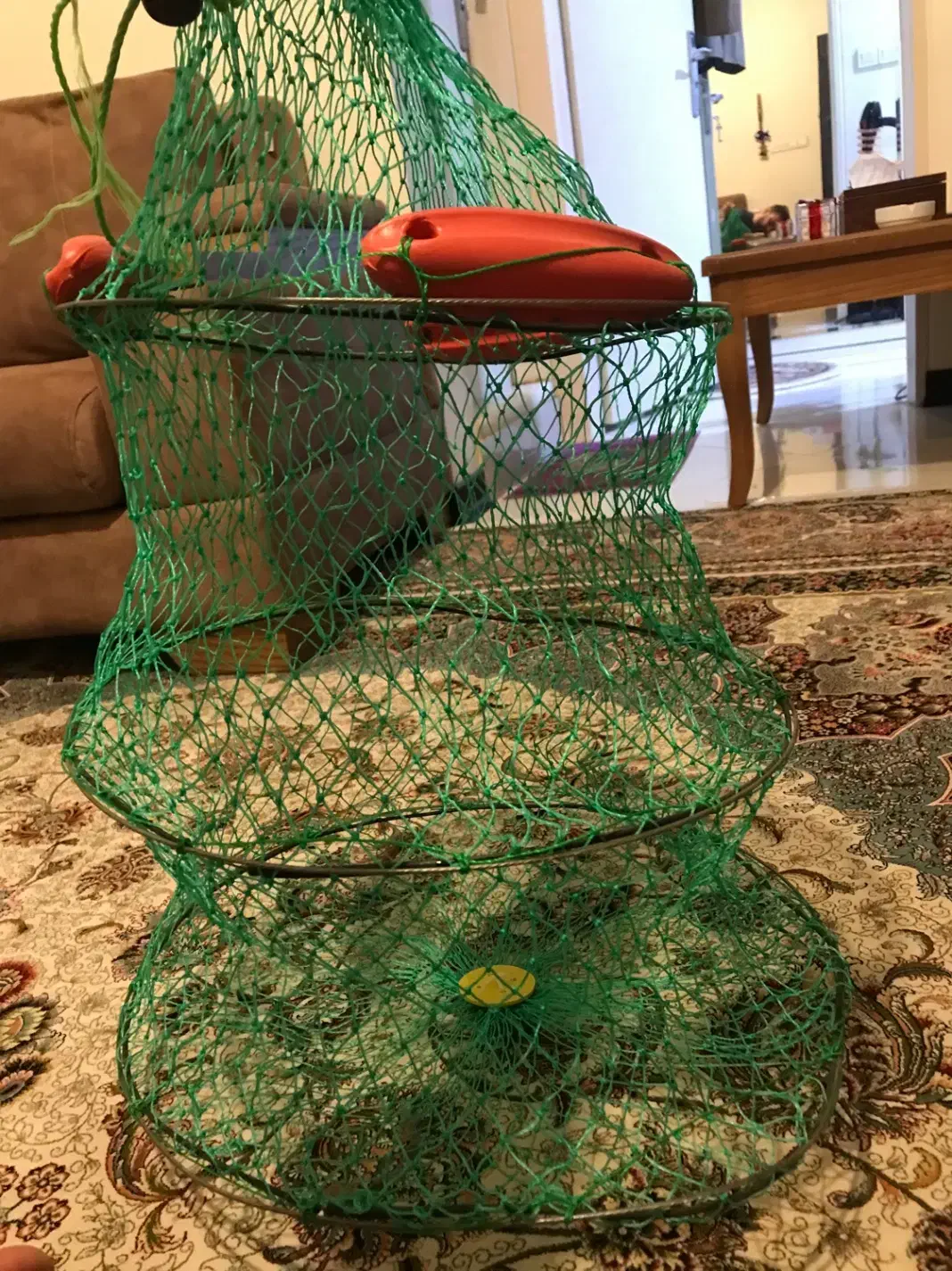 لنسر ماهیگیری و لوازم جانبی|ماهیگیری|تهران, مینای شمالی (مخبر)|دیوار