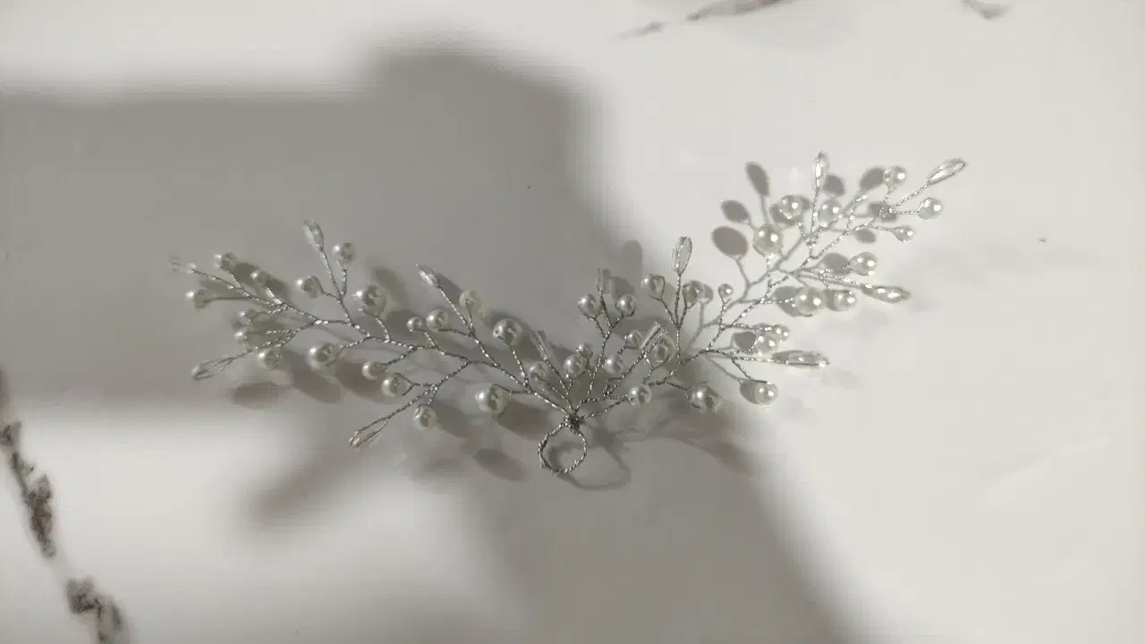 ریسه شنیون|بدلیجات|مشهد, طبرسی شمالی|دیوار