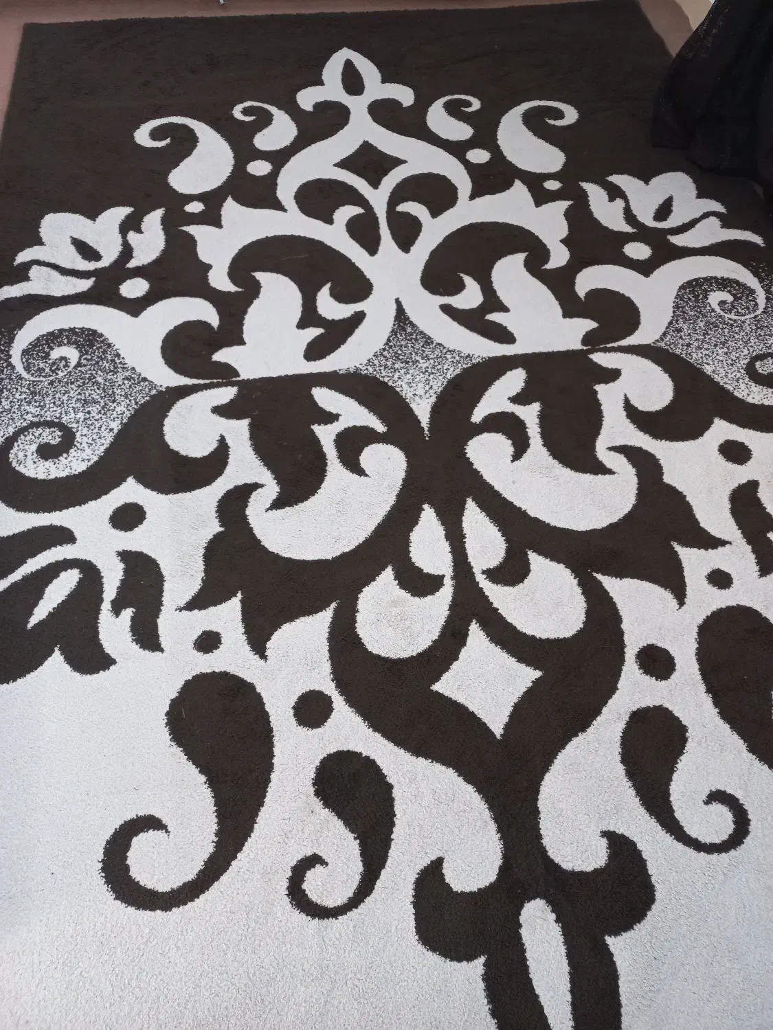 گلیم فرش|فرش|امیدیه, |دیوار