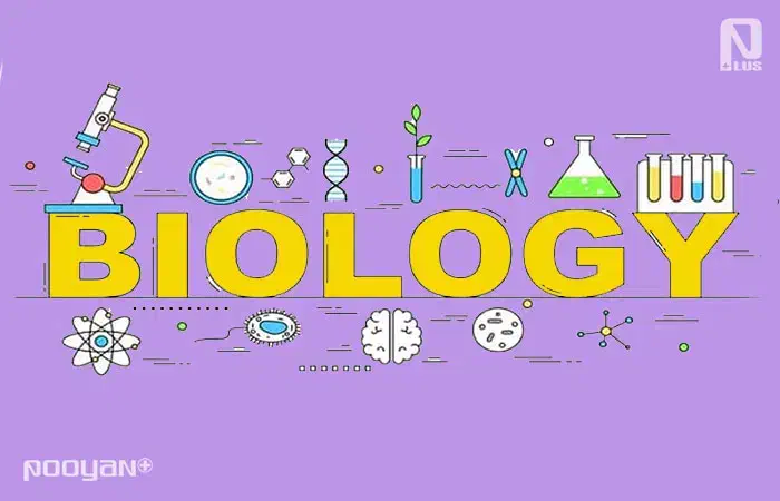 پشتیبان علمی|استخدام آموزشی|بندر کنگان, |دیوار