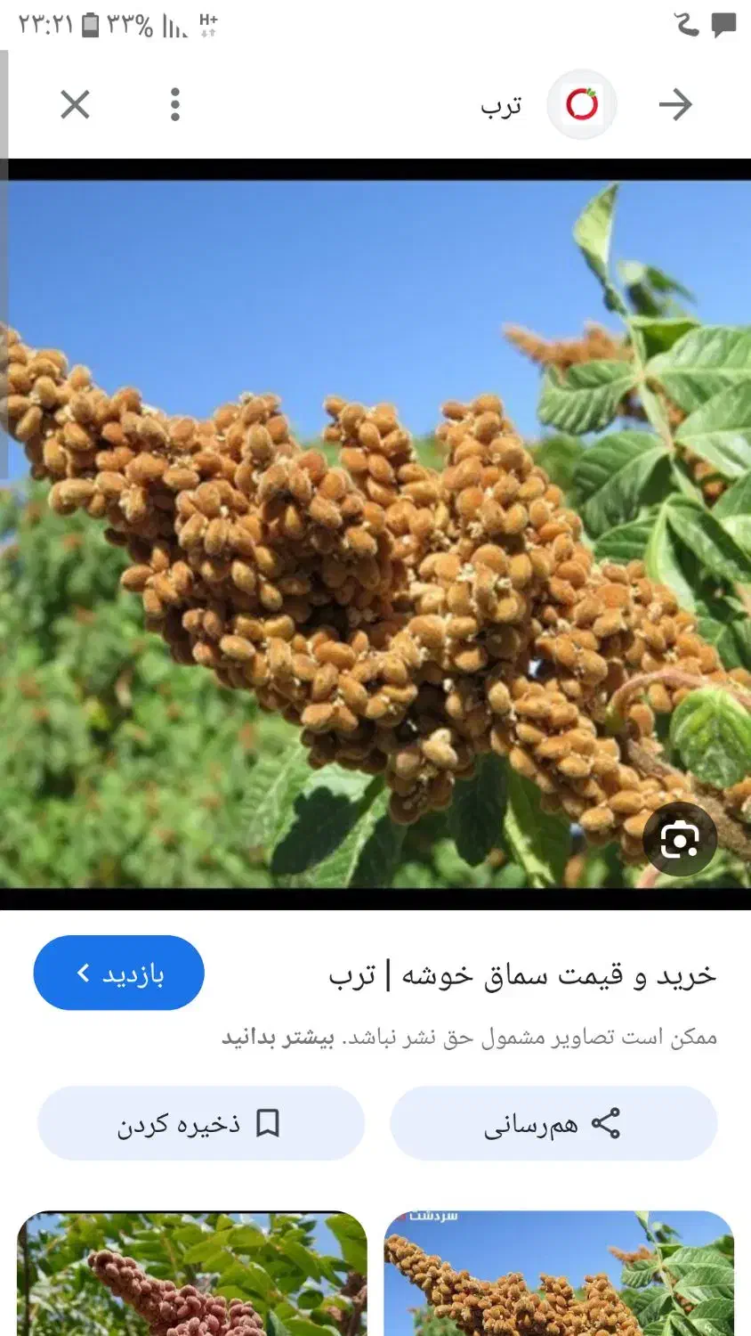 سماق|خوردنی و آشامیدنی|کلیائی, |دیوار