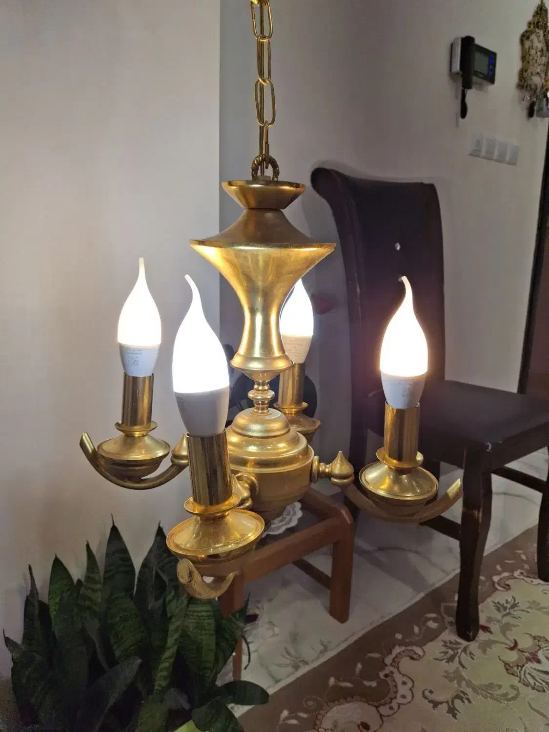 لوستر|لوستر و چراغ آویز|رشت, لاکان|دیوار