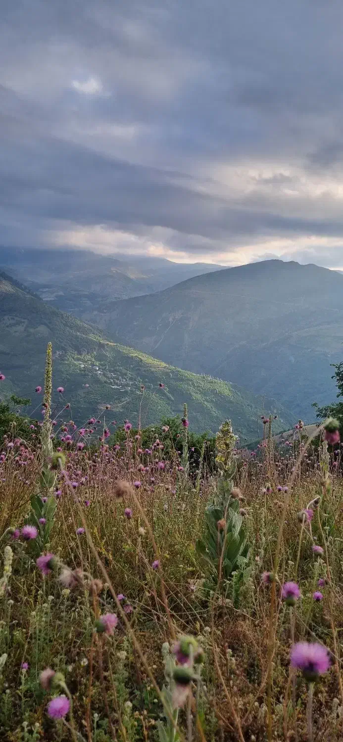 ویلای ییلاقی|فروش خانه و ویلا|رحیمآباد, |دیوار