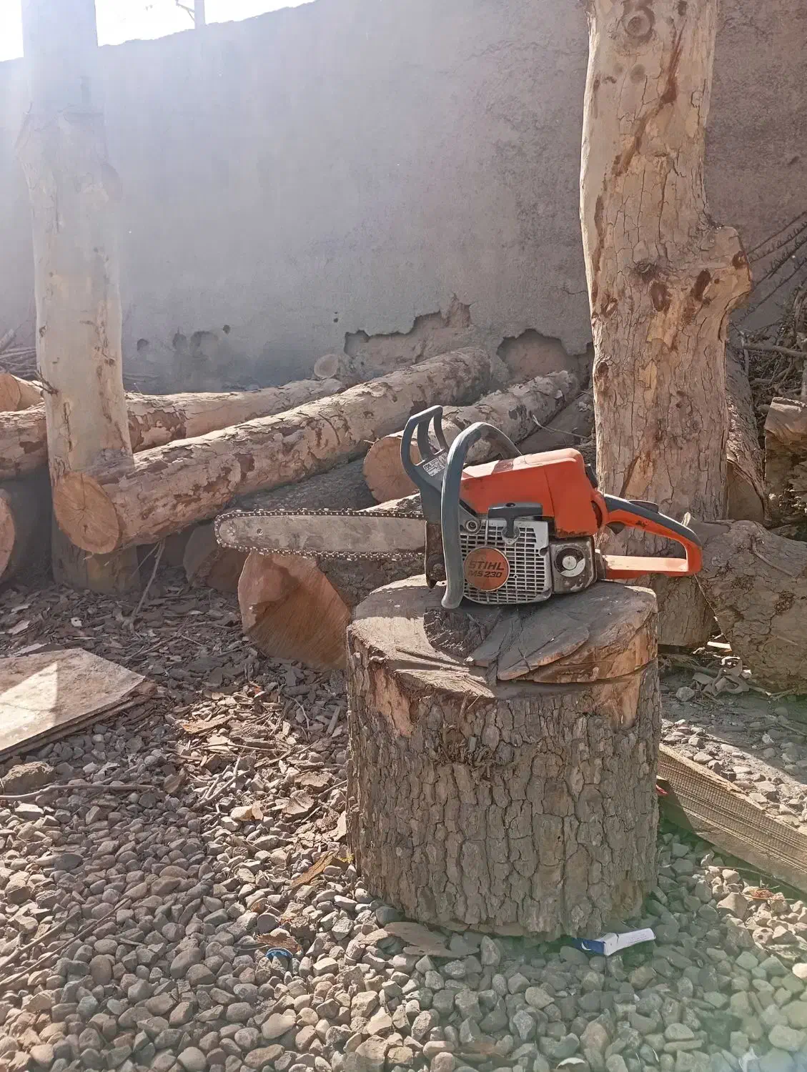 برش درخت خرید چوب قطع درخت|خدمات باغبانی و درختکاری|تهران, صادقیه|دیوار