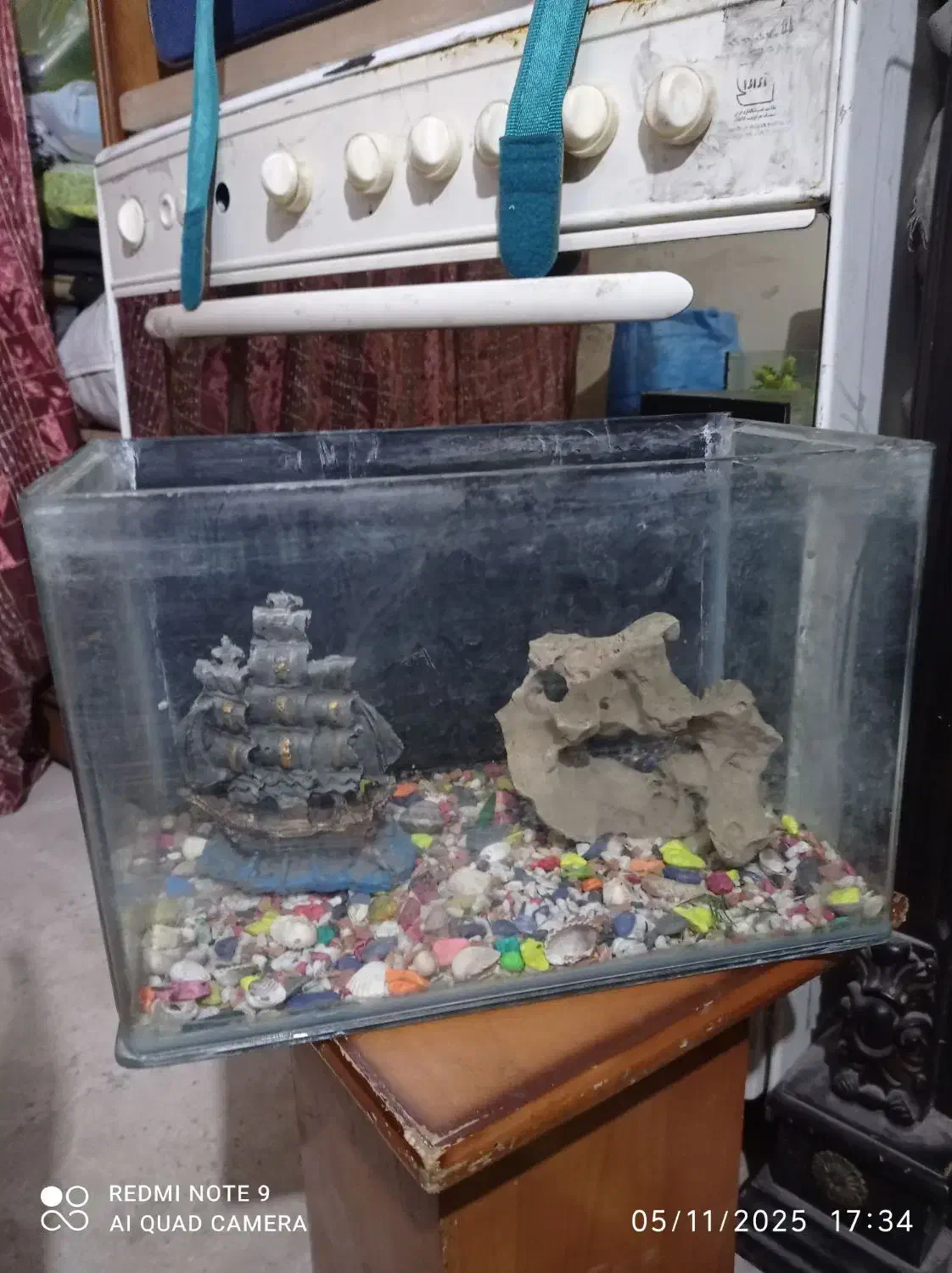 آکواریوم فروشی|ماهی|قزوین, |دیوار