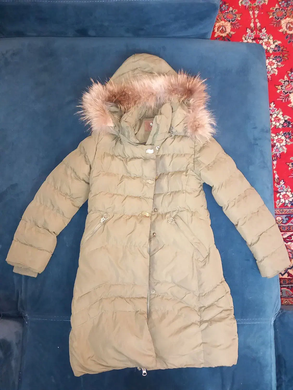 کاپشن|لباس|تهران, حکیمیه|دیوار