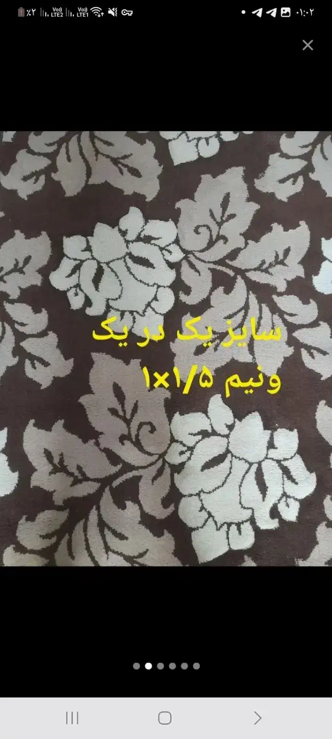 فرش|پادری|شیروان (خراسان), |دیوار