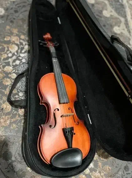 ویولن ۳/۴|ویولن|شیراز, قدوسی غربی|دیوار