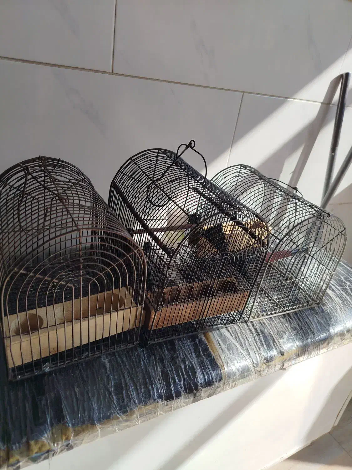 قفس|لوازم جانبی حیوانات|شیراز, کوشک میدان|دیوار