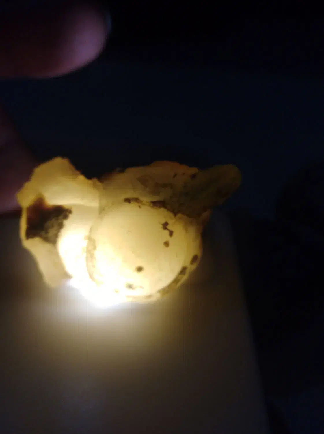 سنگ عتیقه|کلکسیون اشیاء عتیقه|مشهد, شایه|دیوار