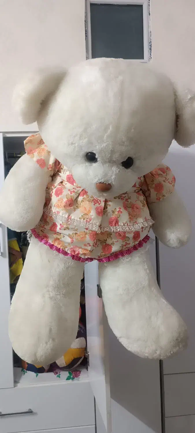 عروسک خرسی|اسباب‌‌بازی|اندیشه, اندیشه فاز ۲|دیوار