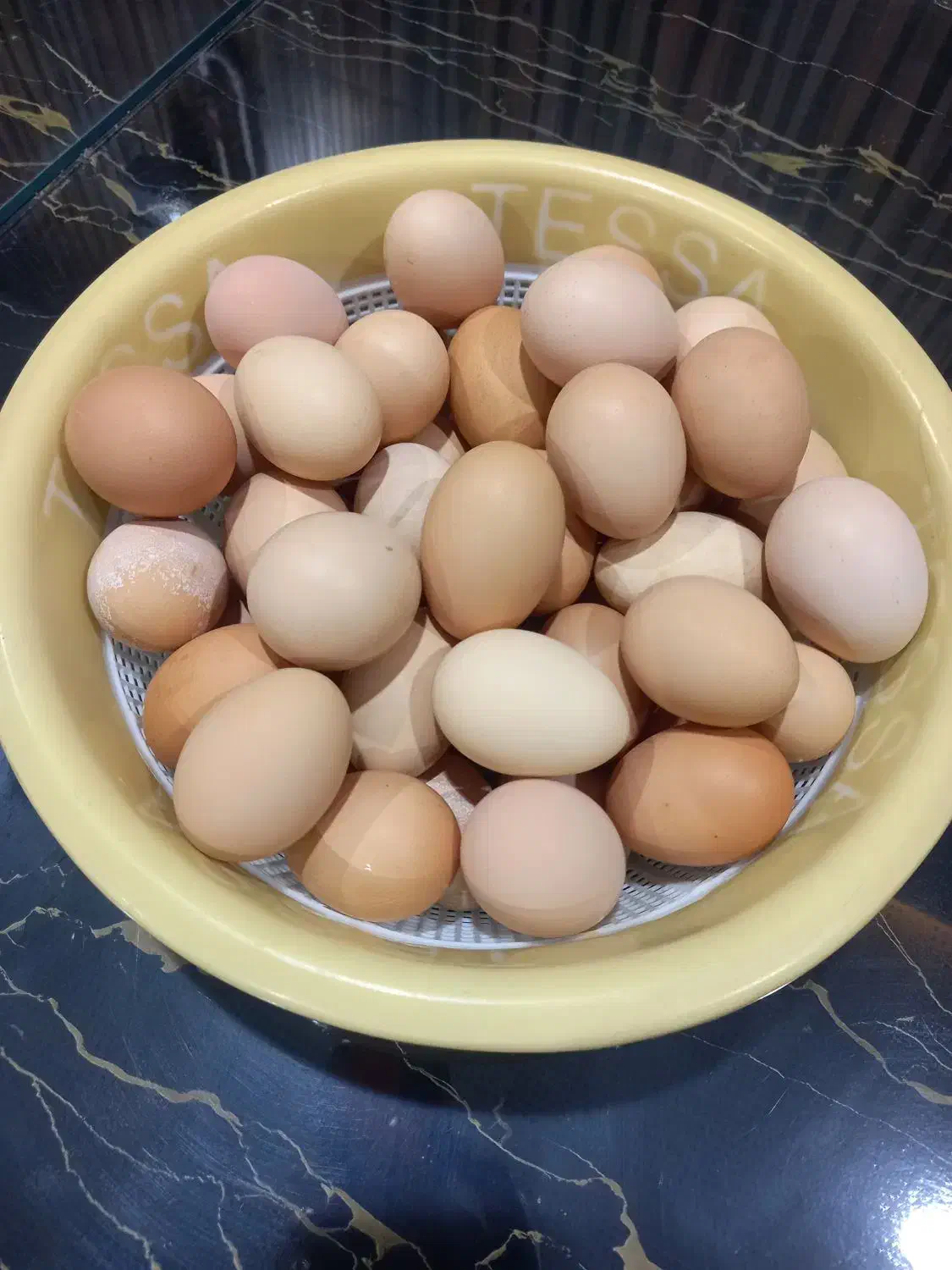 تخم مرغ محلی اصل|خوردنی و آشامیدنی|تربت‌حیدریه, قائم|دیوار