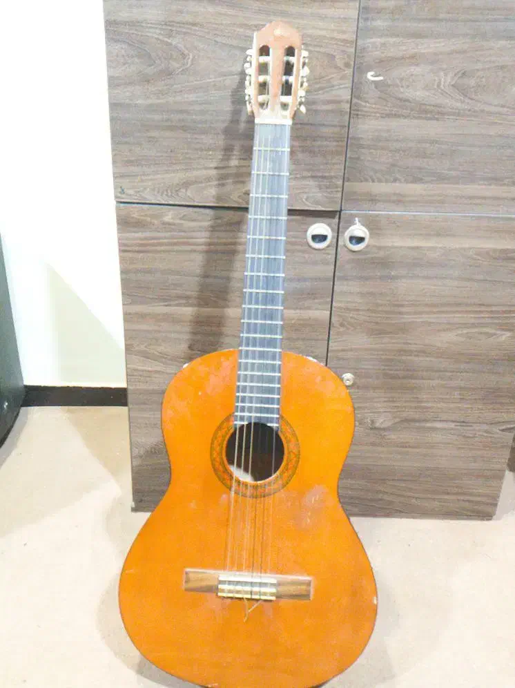 فروش گیتار c40|گیتار، بیس، امپلیفایر|بهبهان, |دیوار