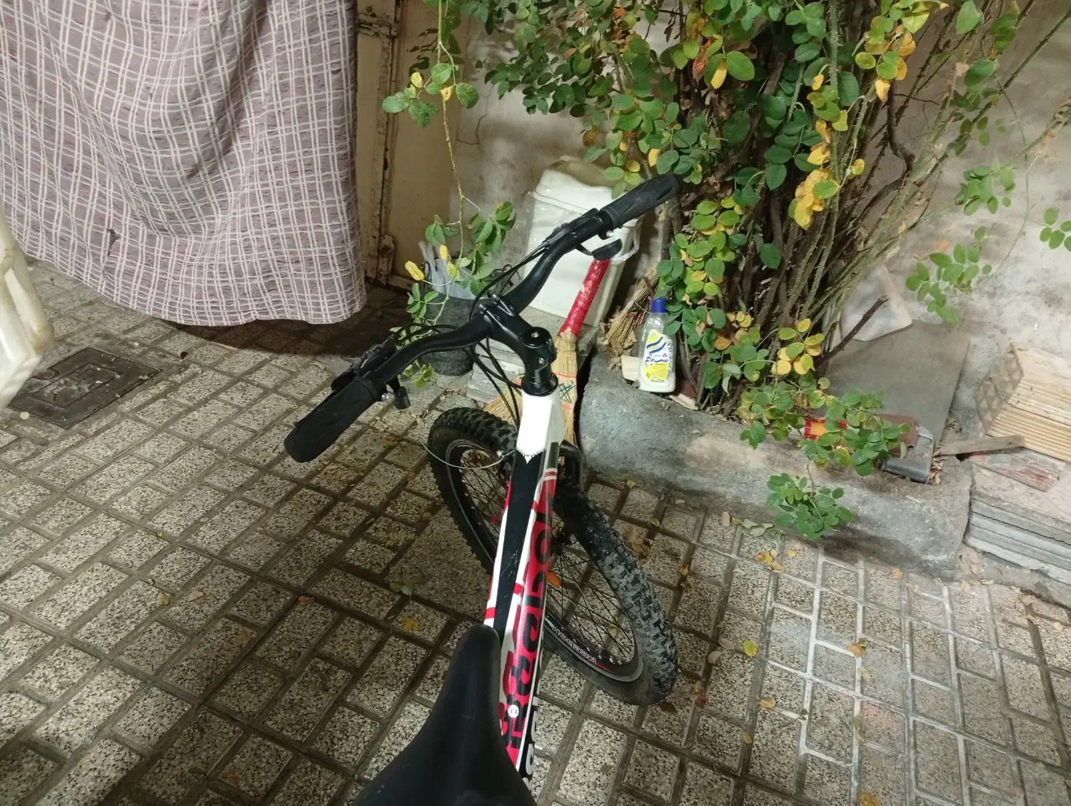 دو عدد دوچرخه نو نو|دوچرخه، اسکیت، اسکوتر|مشهد, شهید آوینی|دیوار