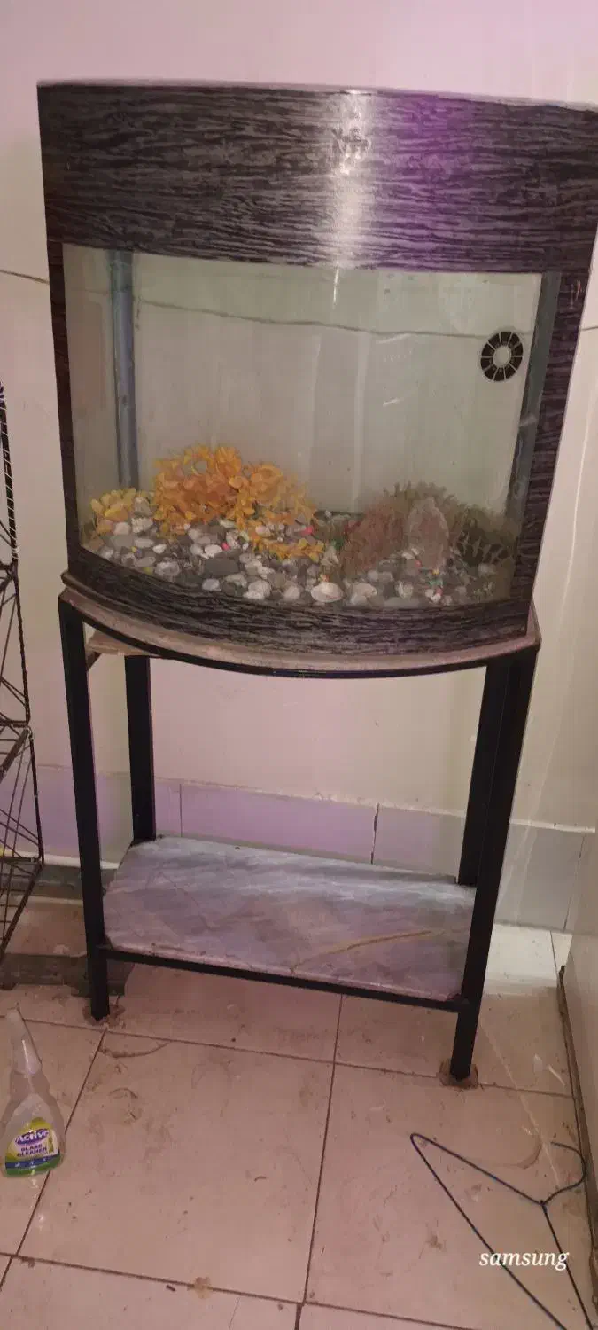 آکواریوم شیشه خم (محدب ) همراه با پایه فلزی|ماهی|تهران, افسریه شمالی|دیوار