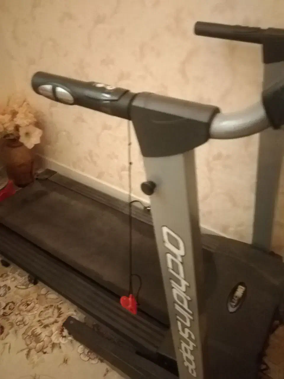 تردمیل|تجهیزات ورزشی|کاشمر, |دیوار