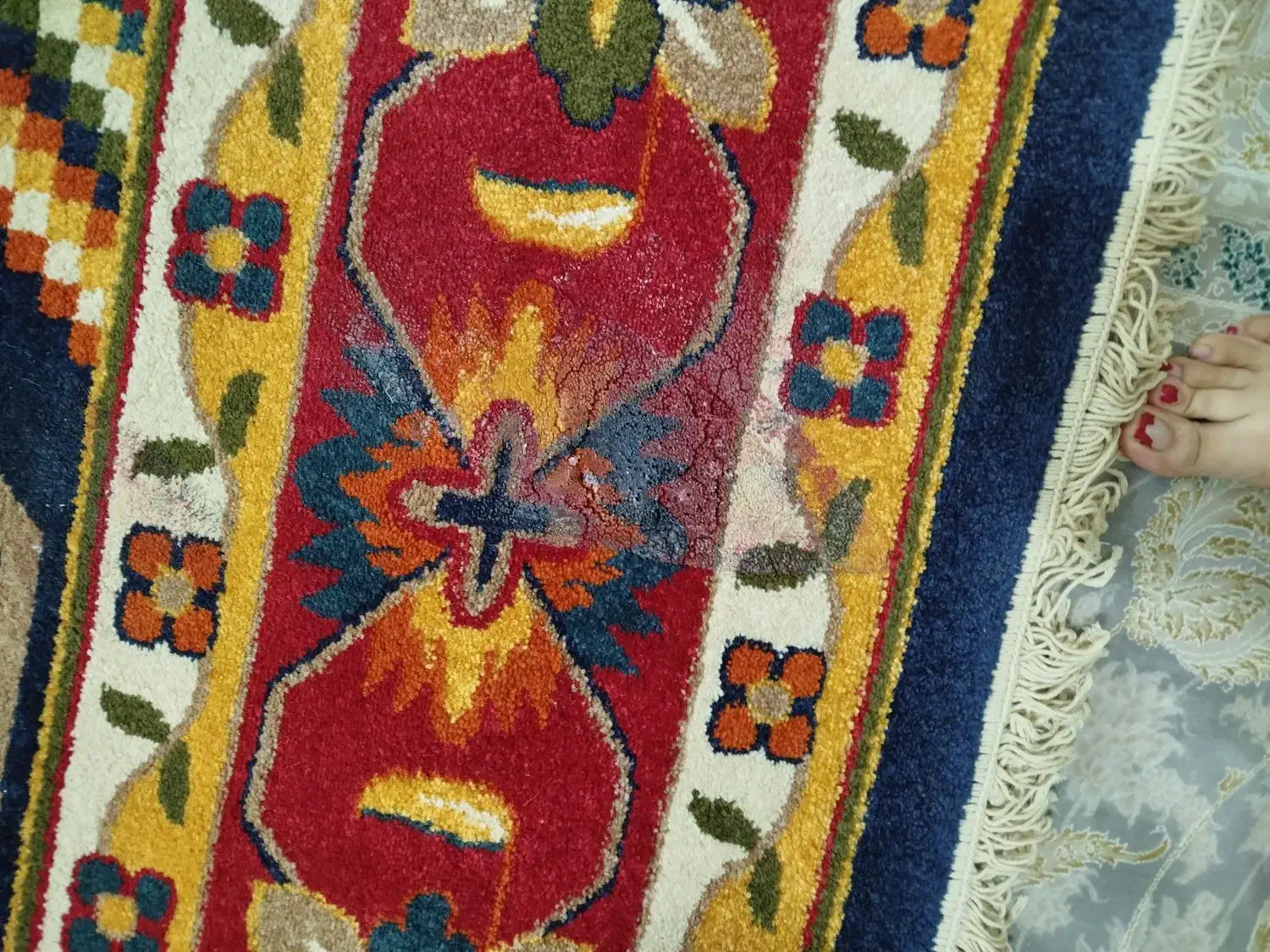 فرش ۱۲ متری|فرش|دوگنبدان, |دیوار