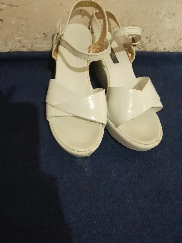 کفش|کیف، کفش، کمربند|تایباد, |دیوار