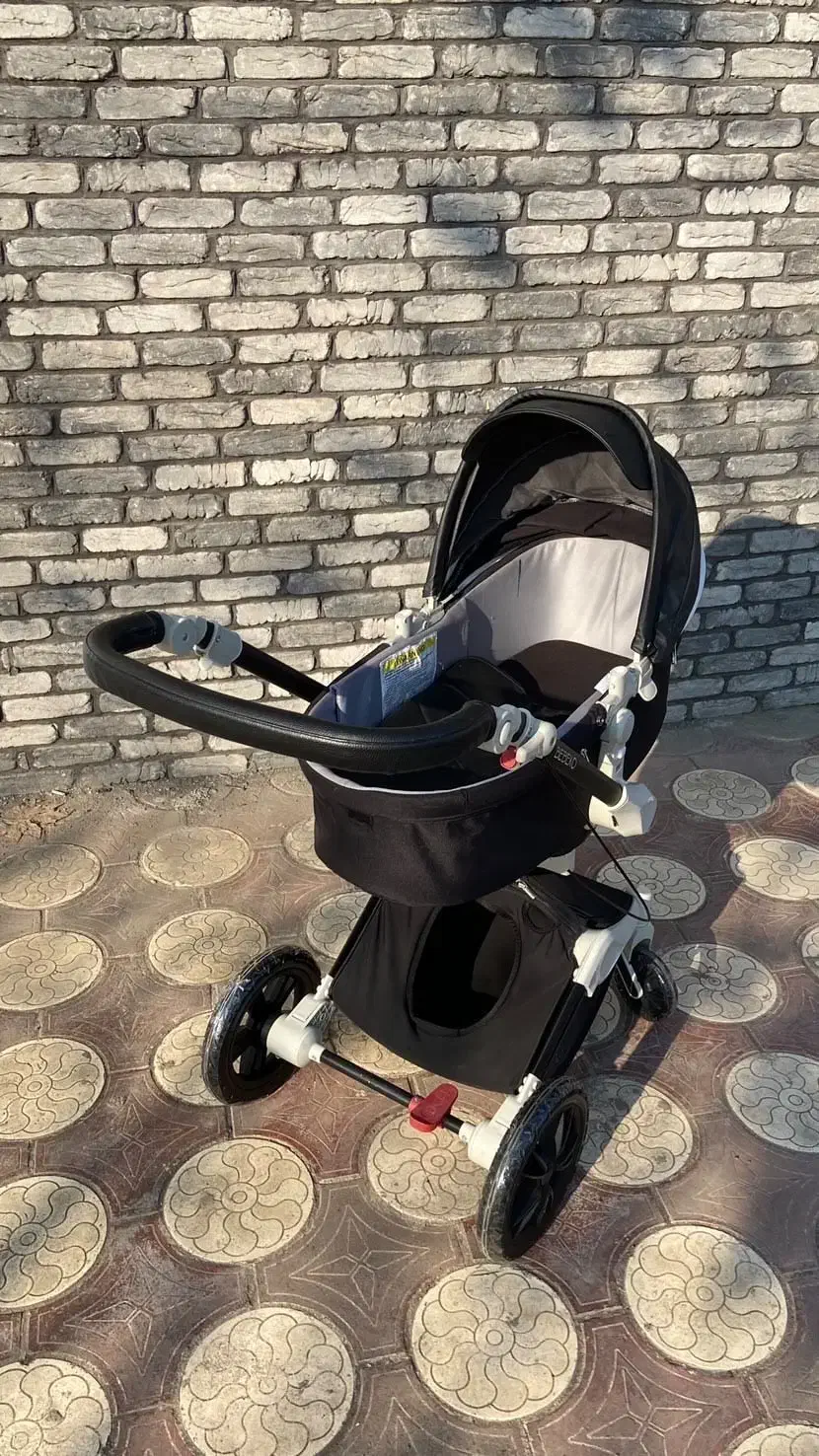 کالسکه|کالسکه و لوازم جانبی|رشت, منظریه|دیوار