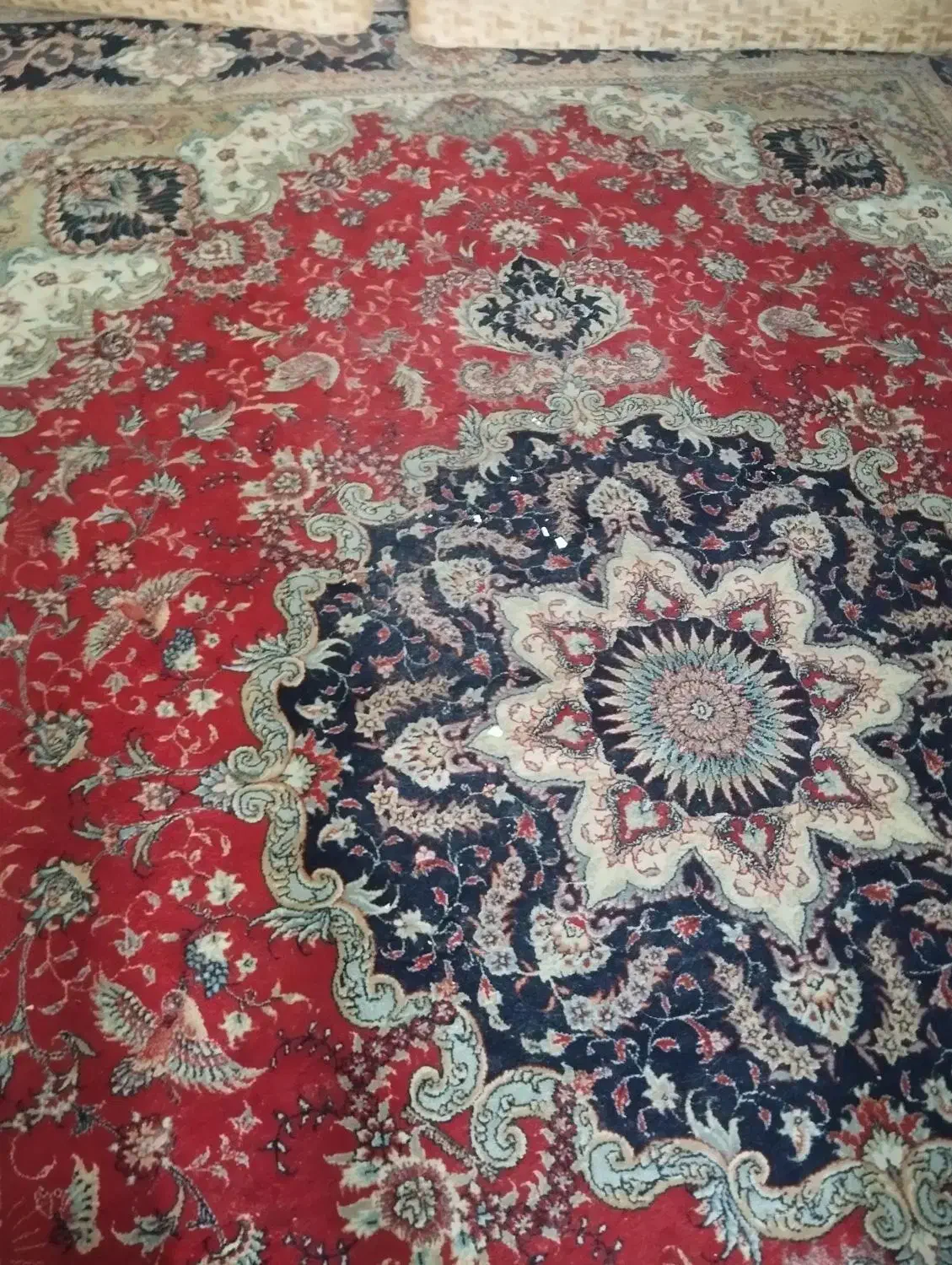 قالی|فرش|اهواز, بیست متری شهرداری|دیوار