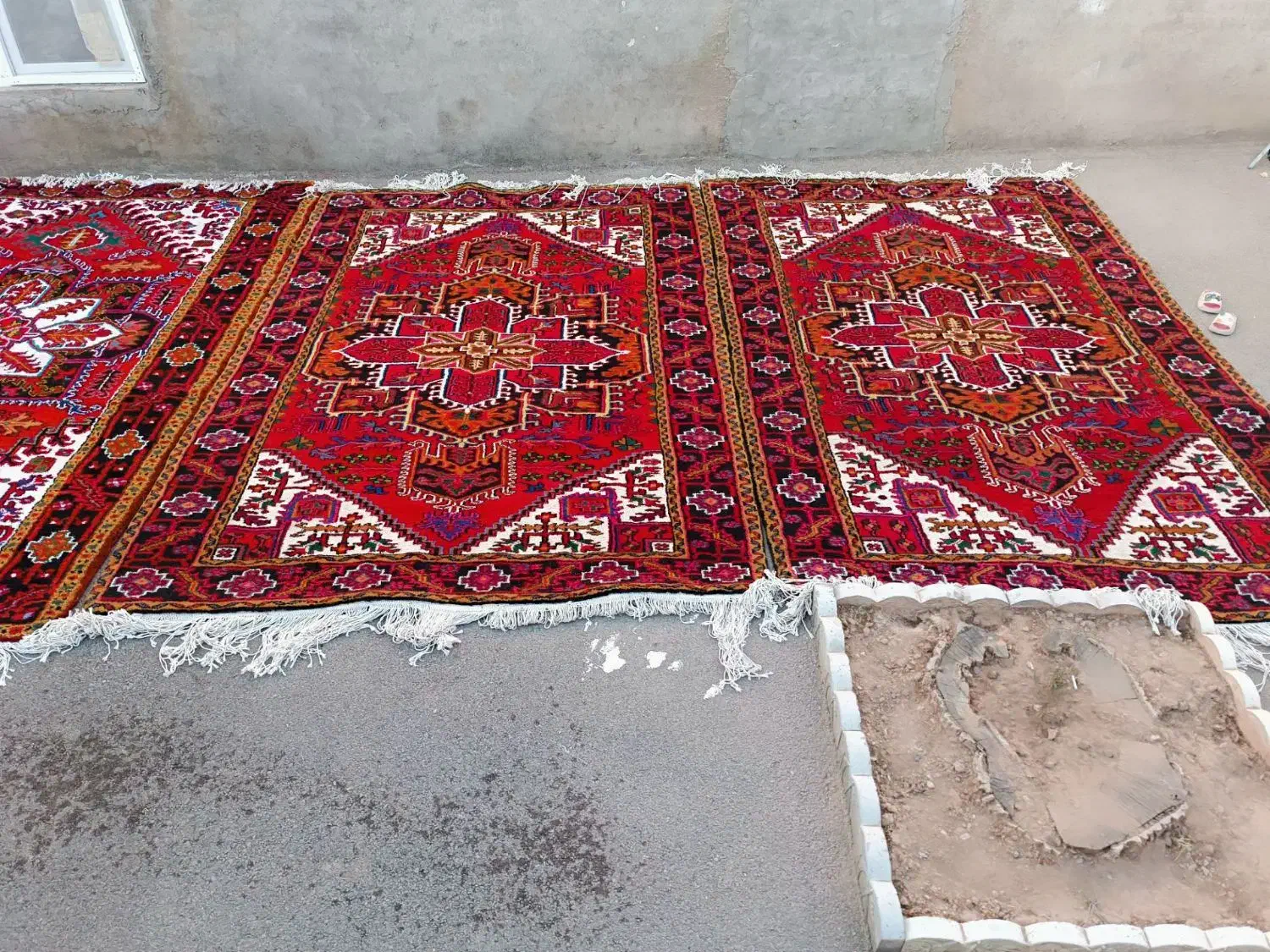 چهار عدد فرش دستبافت 6متری|فرش|تبریز, |دیوار