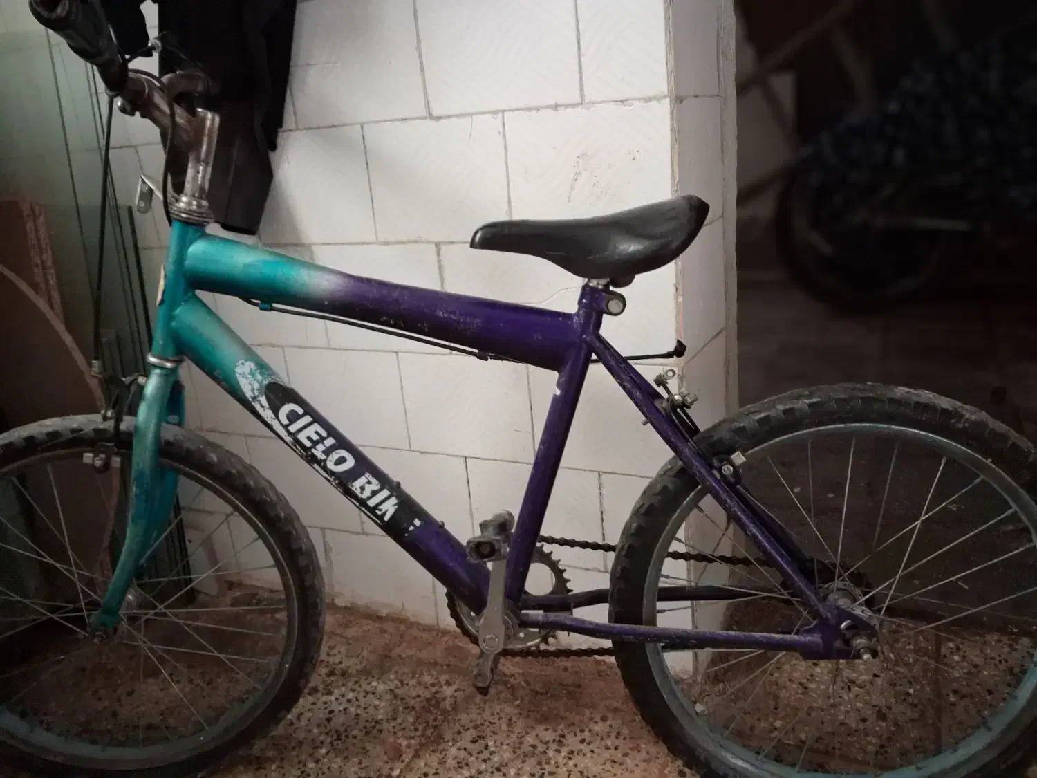 دوچرخه ۲۰|دوچرخه، اسکیت، اسکوتر|تربت‌حیدریه, باغ سلطانی|دیوار