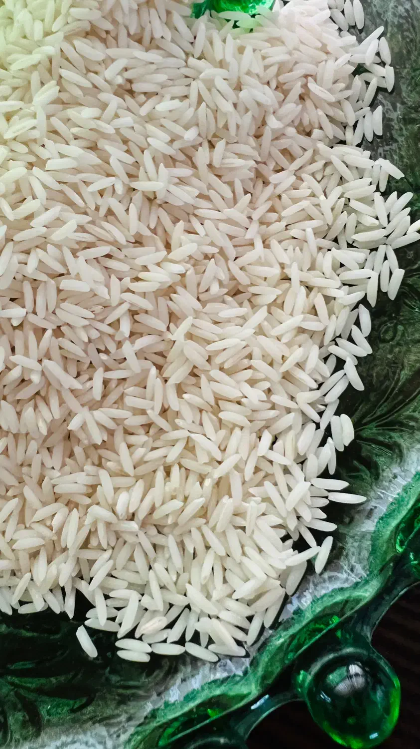 برنج طارم هاشمی درجه یک فریدونکنار|خوردنی و آشامیدنی|شیراز, معالی‌آباد|دیوار