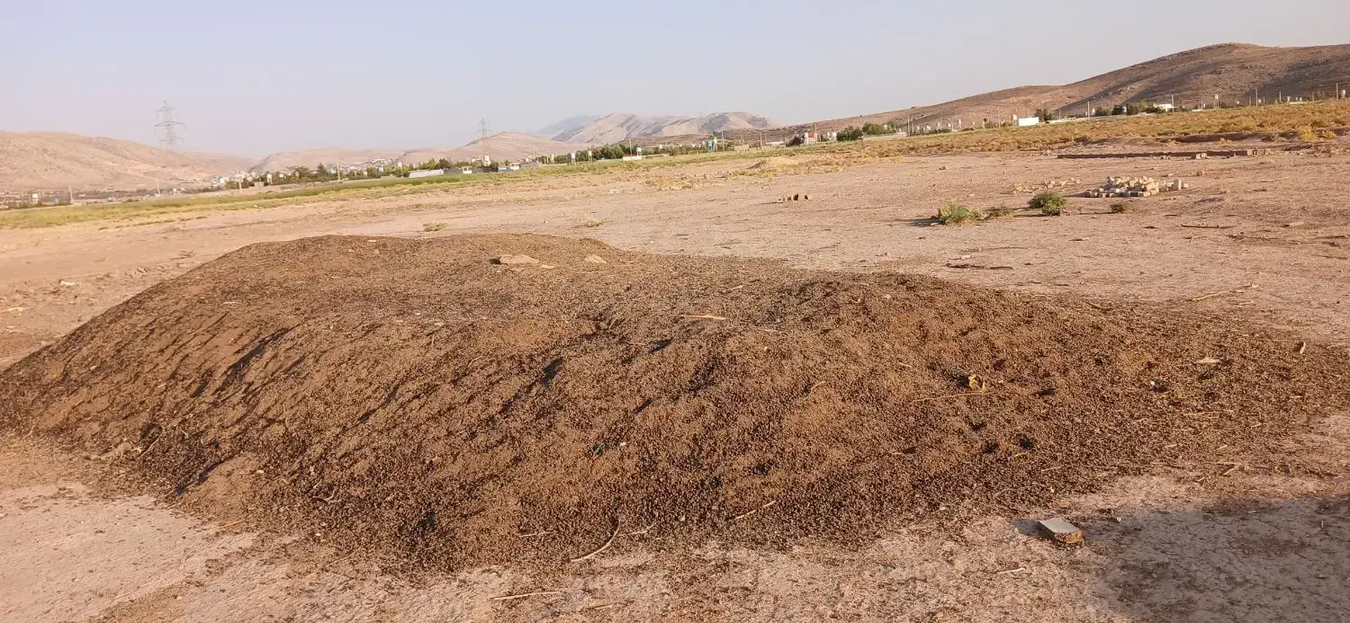 کود گوسفندی|گل و گیاه طبیعی|شیراز, دوکوهک|دیوار