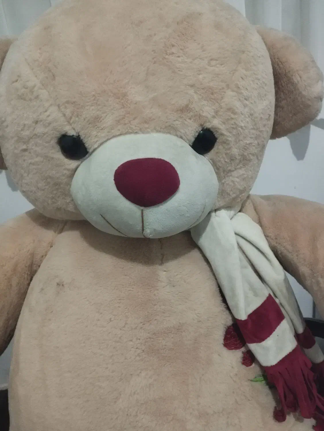 قوری کتری سالم خرسی هم سالم|قوری، کتری، قهوهساز دستی|قرچک, زیبا شهر|دیوار