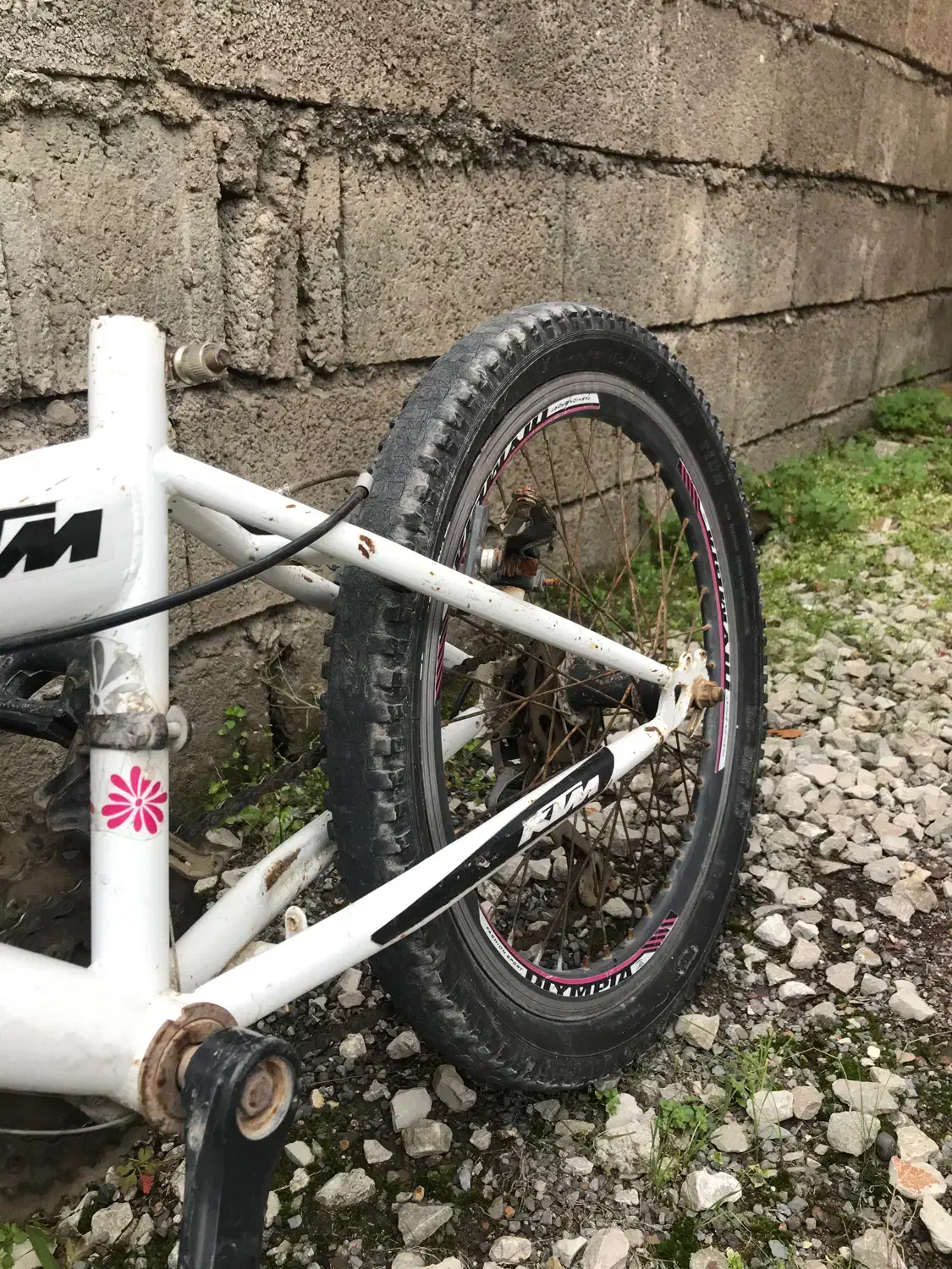 سه عدد دوچرخه|دوچرخه، اسکیت، اسکوتر|نوشهر, |دیوار