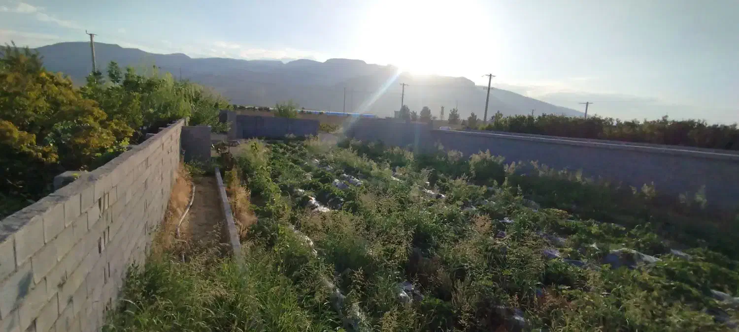 فروش انواع زمین باغ شهری و کشاورزی|فروش دفتر صنعتی، کشاورزی، تجاری|شیراز, بید زرد|دیوار