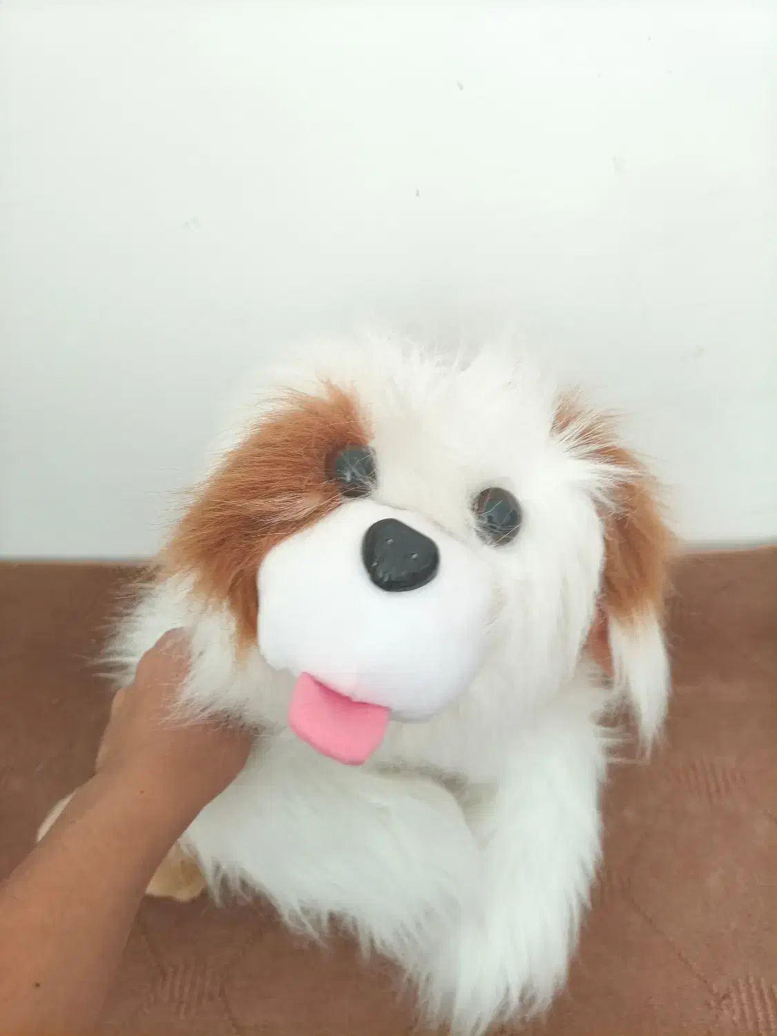 عروسک سگ بامزه|اسباب‌‌بازی|خوی, |دیوار