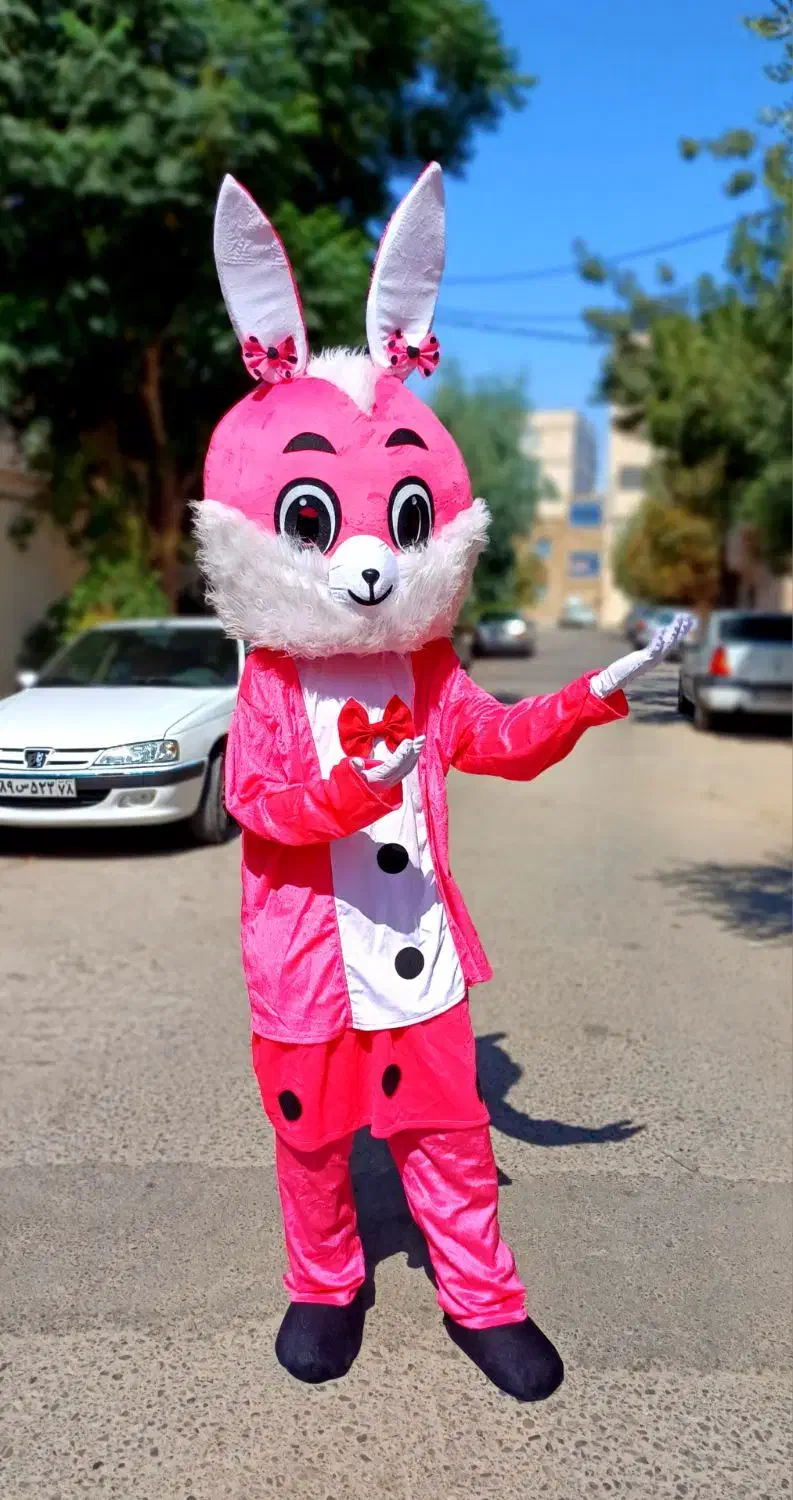 اجاره عروسک تنپوش یا تن پوش|خدمات پذیرایی، مراسم|پیشوا, |دیوار