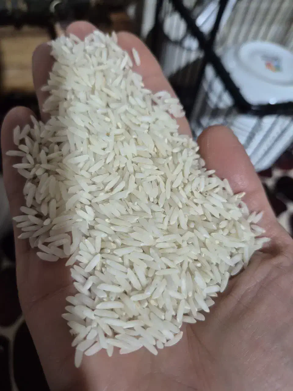 برنج هاشمی گیلان درجه 1|عمده‌فروشی|تنکابن, |دیوار