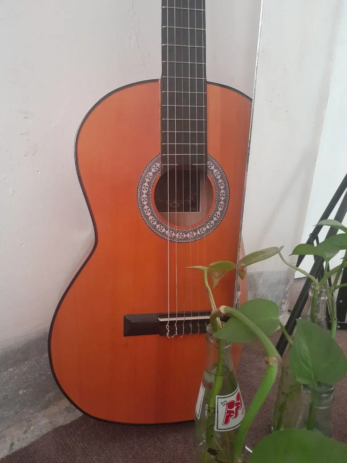 گیتار آنتنیو سِزار|گیتار، بیس، امپلیفایر|نجف‌آباد, فیروزآباد|دیوار