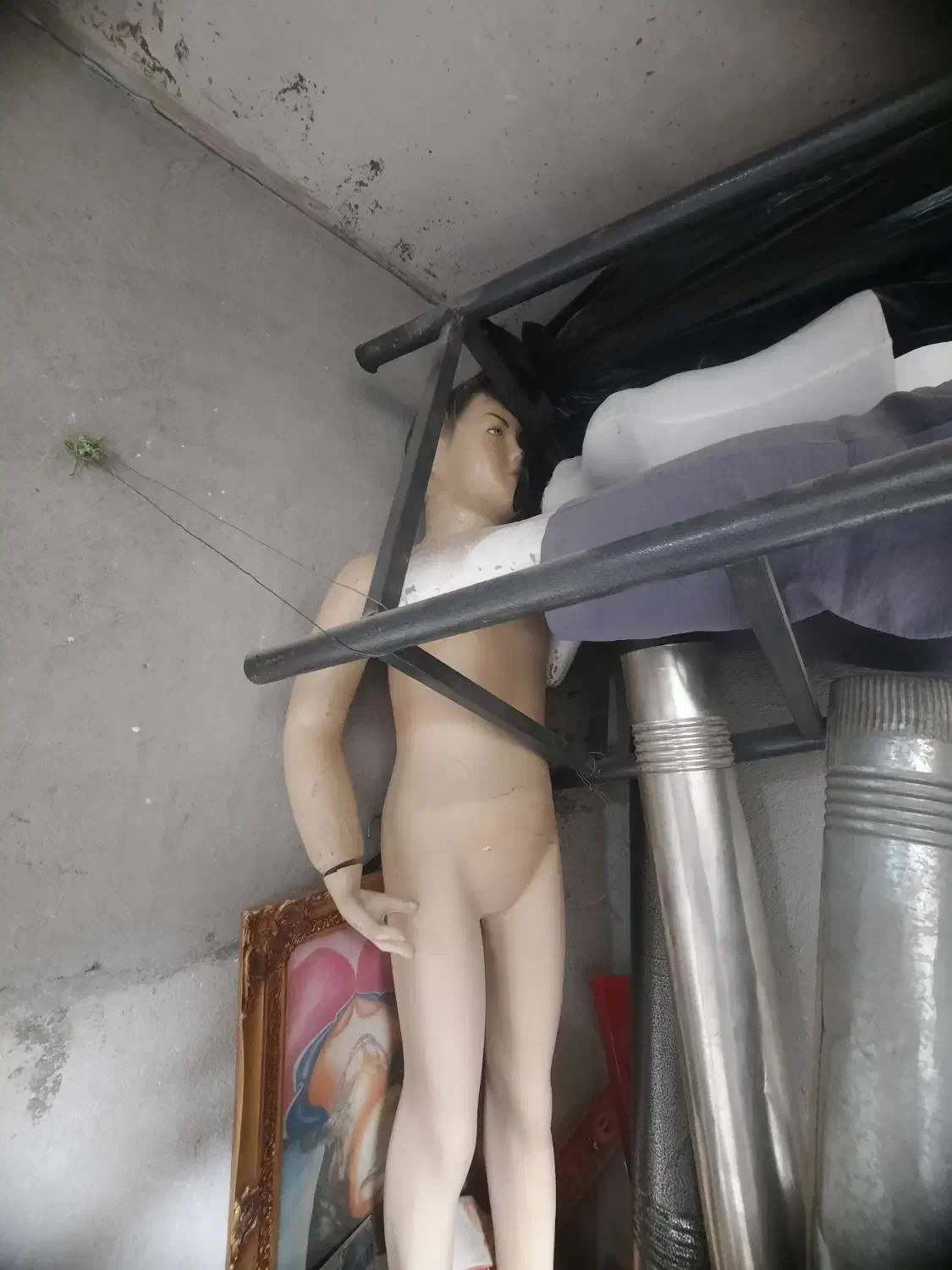 تعدادی مانکن بچه گانه|فروشگاه و مغازه|همدان, |دیوار