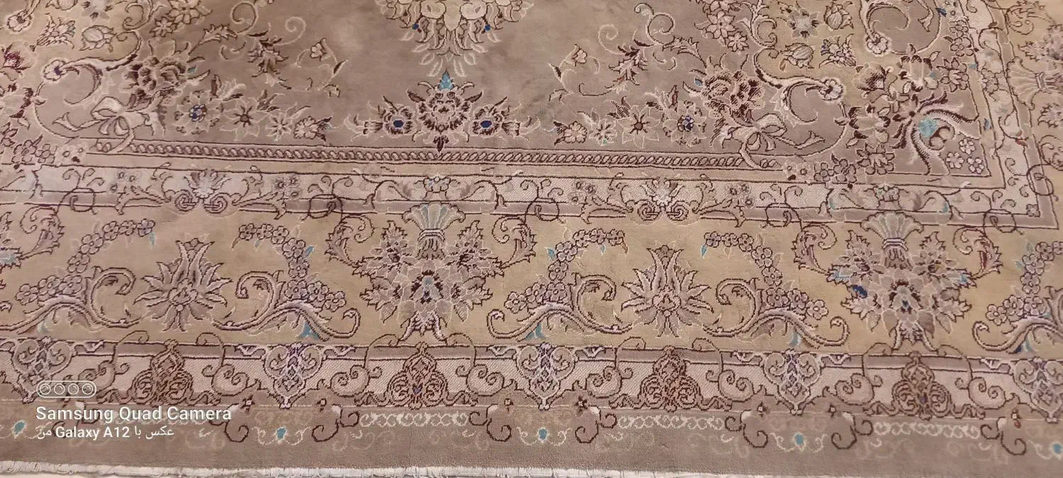 فرش|فرش|تربت جام, شهید مدرس|دیوار