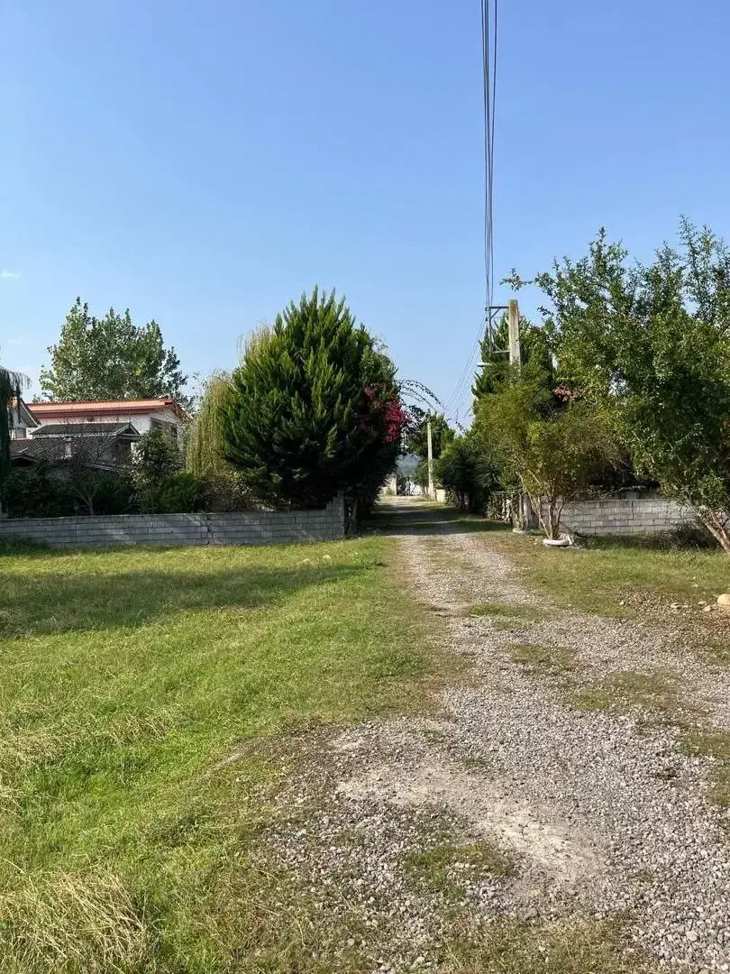 ۲۵۰ متر زمین شهرکی/ تاپ لوکیشن/ کوهپایه جنگلی|فروش زمین و ملک کلنگی|چمستان, |دیوار