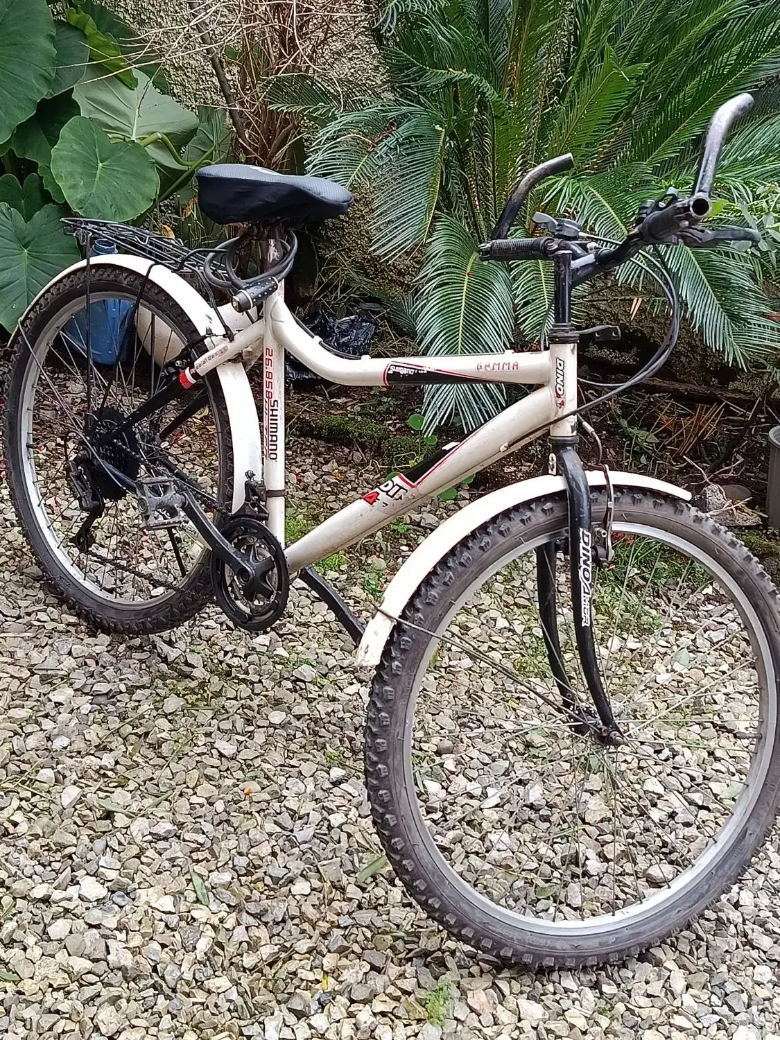 دوچرخه ۲۶|دوچرخه، اسکیت، اسکوتر|عباس‌آباد, |دیوار