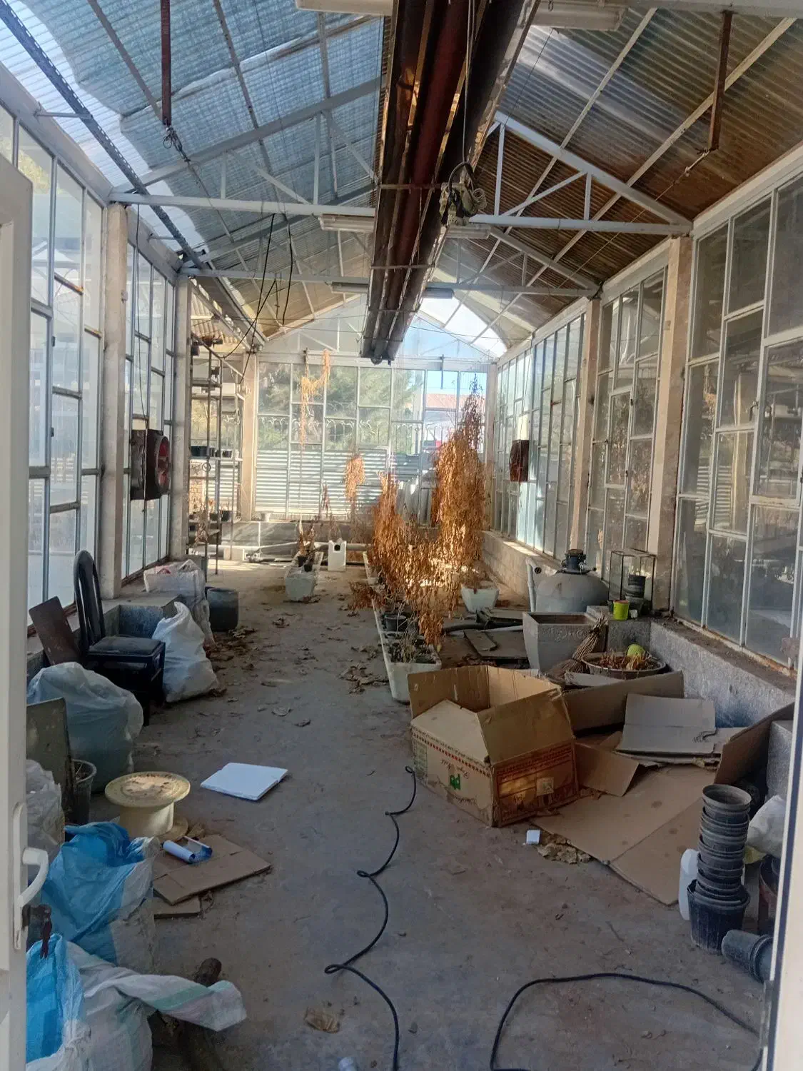 گلخانه پیشرفته|فروش دفتر صنعتی، کشاورزی، تجاری|فریمان, |دیوار