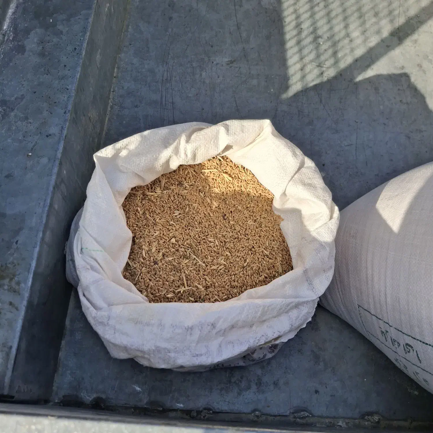 گندم|لوازم جانبی حیوانات|اراک, |دیوار