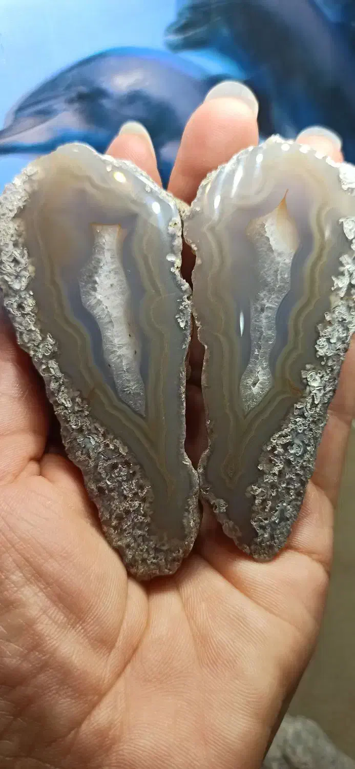 شجر کلکسیونی|جواهرات|سرایان, |دیوار