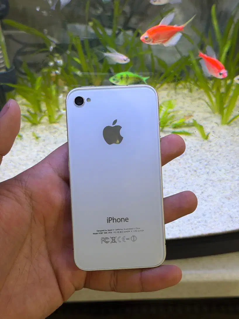 آیفون ۴ کلکسیونی|موبایل|مریوان, |دیوار