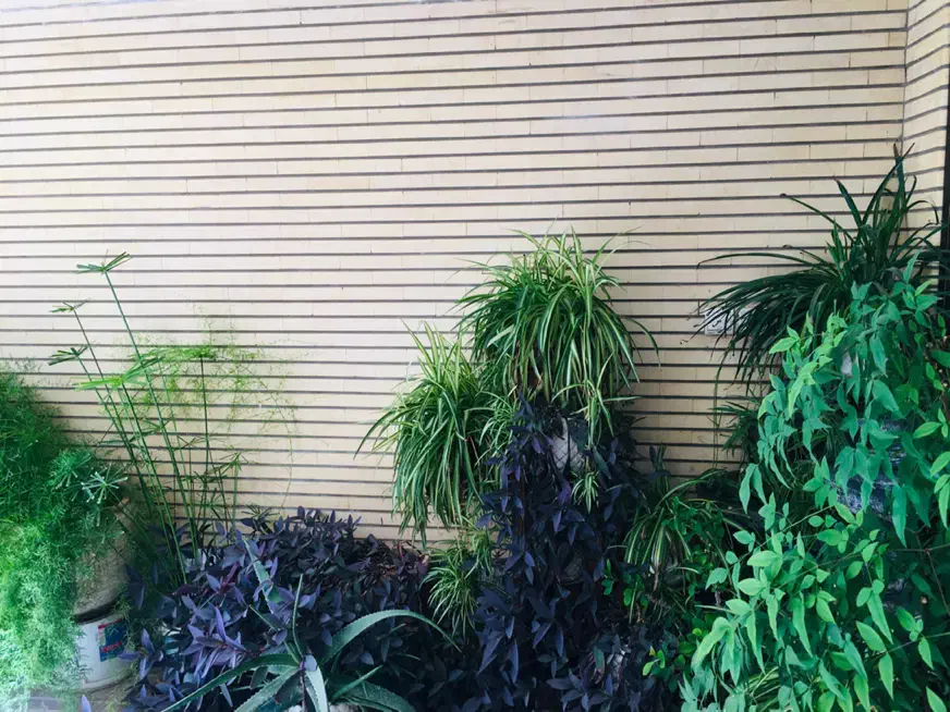 ویلایی شمالی جنوبی پردیس|فروش خانه و ویلا|شاهین‌شهر, شهرک پردیس|دیوار