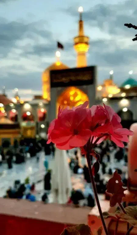 تور داخلی مشهد مقدس * قشم و کیش|تور و چارتر|اصفهان, منتظرالمهدی|دیوار