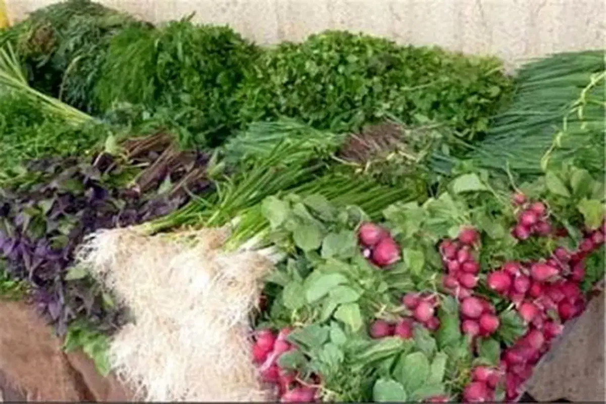گل کلم زیر قیمت مشهد|خوردنی و آشامیدنی|مشهد, امیر آباد|دیوار